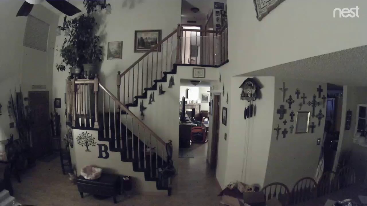 Willy falls down stairs