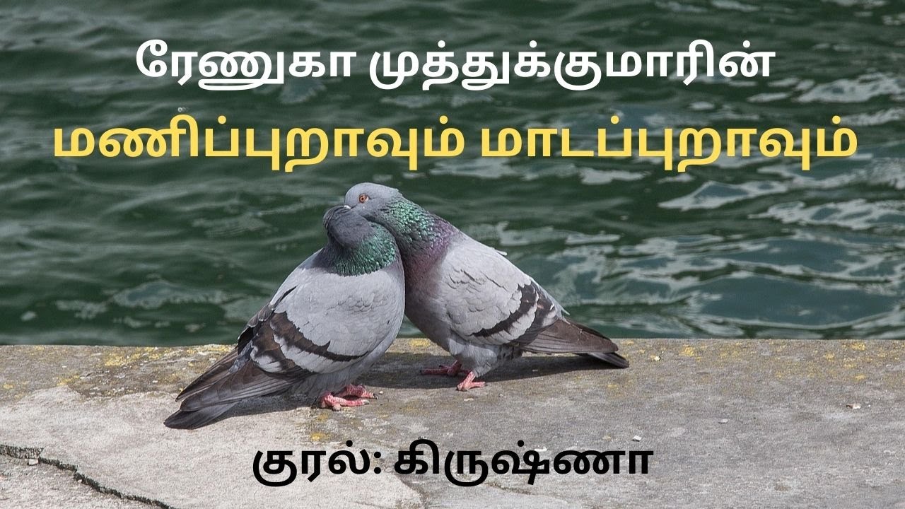 மணிப்புறாவும் மாடப்புறாவும்| Renuga Muthukumar| RJ Krishna| Tamil Audio Novels| Love Stories