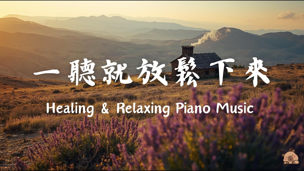 【RELAXING PIANO BGM】水豚陪你放空 1小時｜消除焦慮、深度療癒鋼琴曲｜帶走壓力與疲憊、恢復內在平靜
