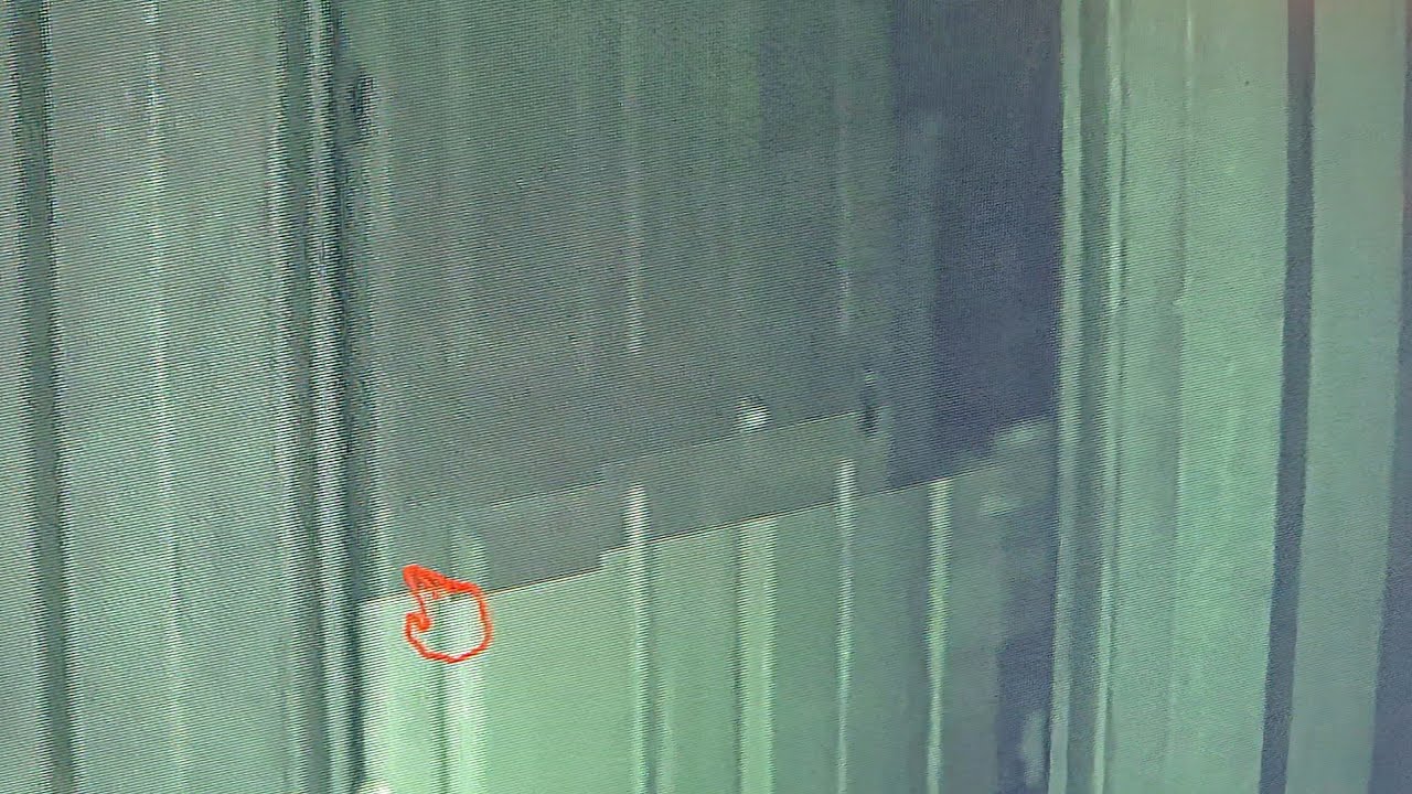 Funny door glitch in Phasmophobia 