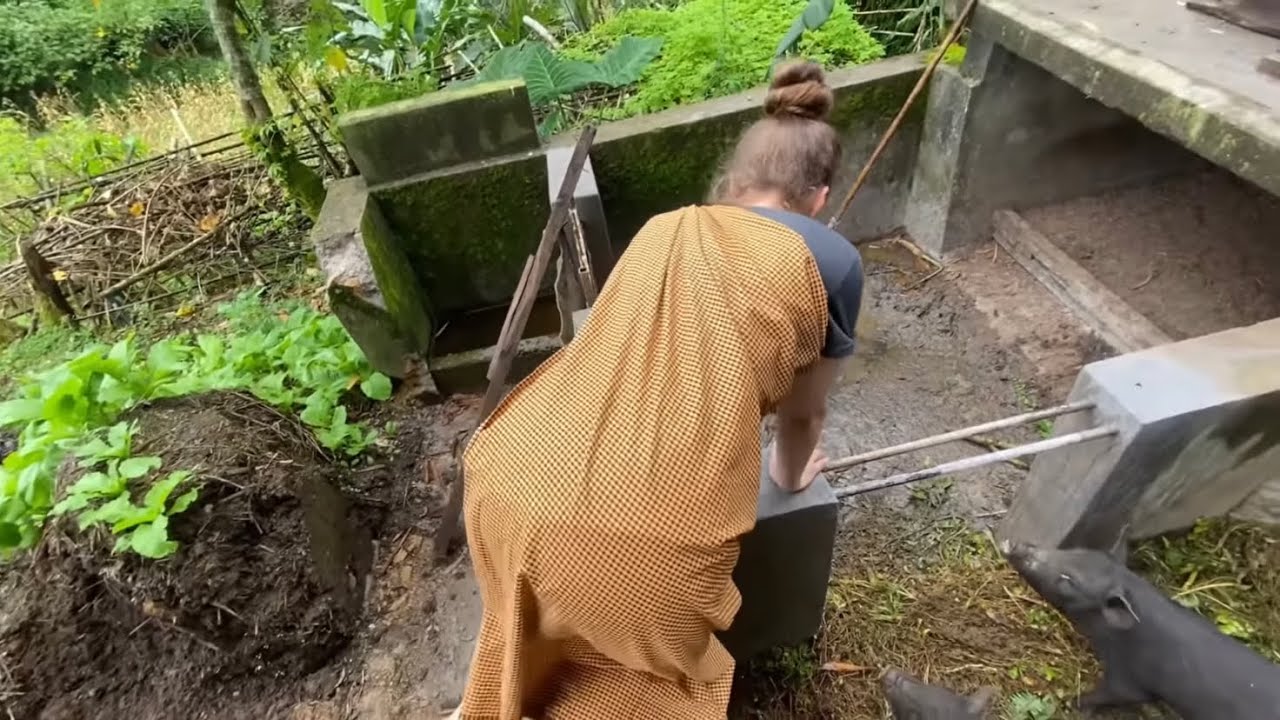 1st Time Feeding Pigs - Life in an Indian Village   #india #meghalaya