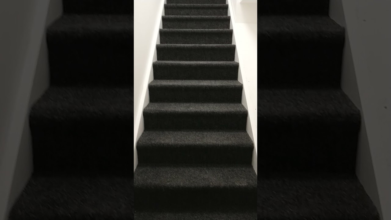 The Bigger Move - Week 8 Update!