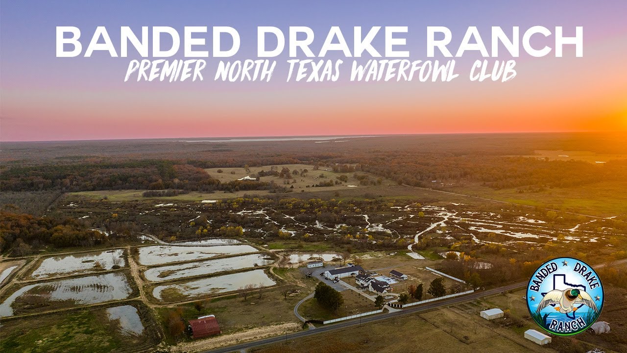 Premier North Texas Waterfowl Club | Banded Drake Ranch