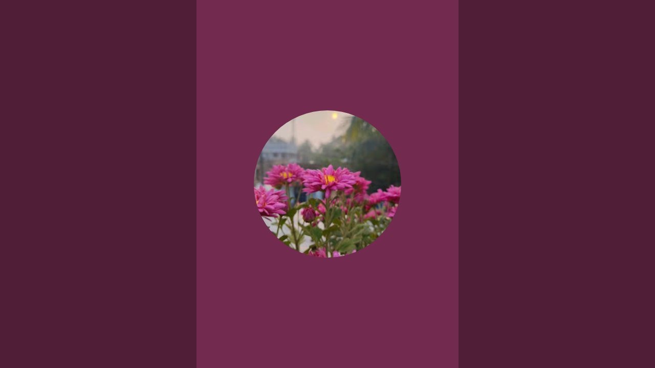 Usha Rani is live!