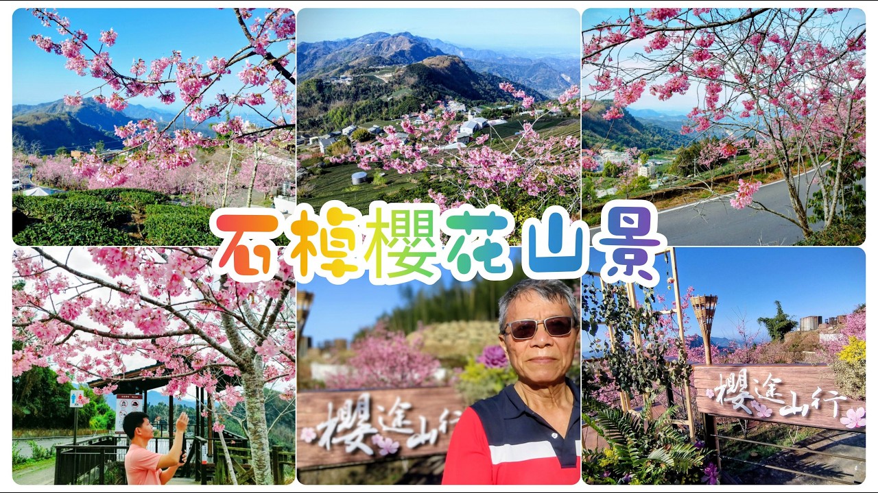 石棹櫻花山景2026/3/2(星期一)(附歌詞)