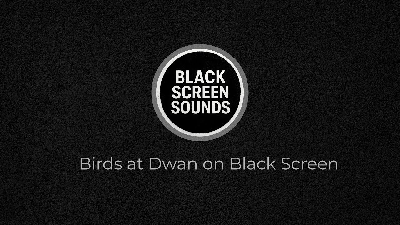 Birds at Dawn on Black Screen | 3 Hours of Nature Ambience for Sleep