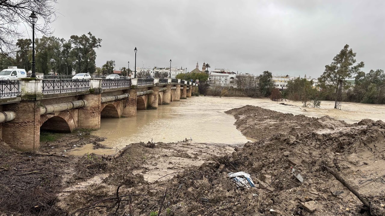 Rio Genil Écija: Isla del vicario, puente de hierro y puente romano 4 febrero 2026