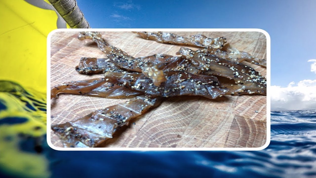 How to make Hawaiian style jerky | saved by the poor man's downrigger part 2