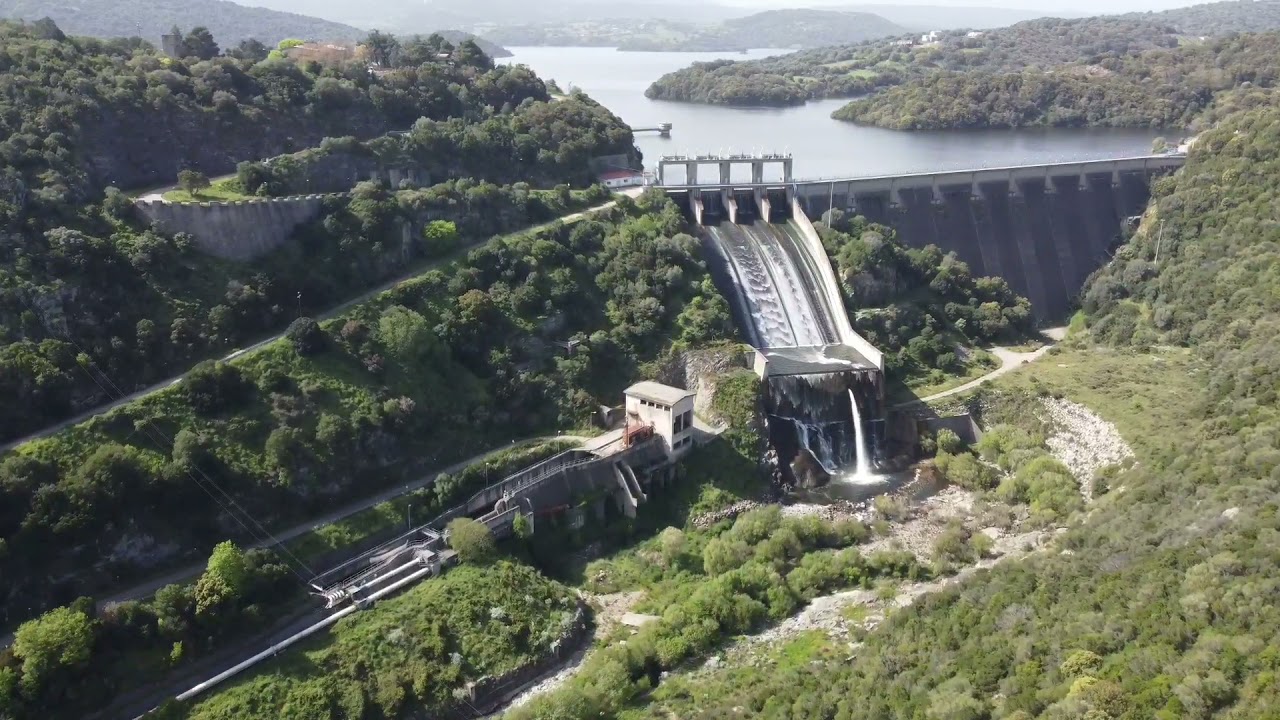 Sardegna, diga del liscia,olivastri millenari