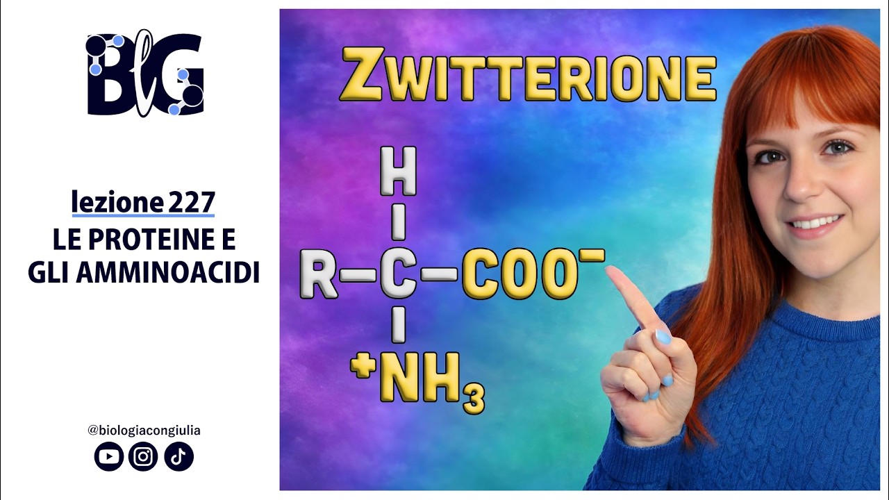 Le PROTEINE e gli AMMINOACIDI