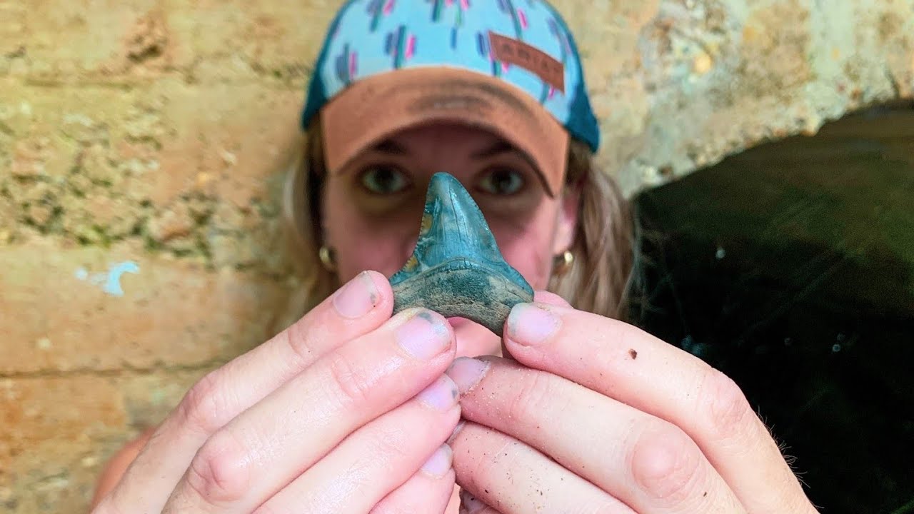 We DID NOT Expect This To Happen | Finding Megalodon Shark Teeth in a Beautiful Florida Creek!