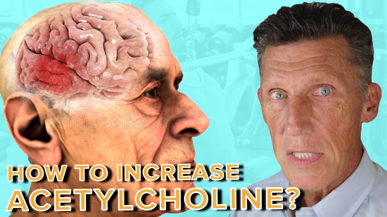 How to Increase Acetylcholine for Muscle Growth and Reverse Dementia