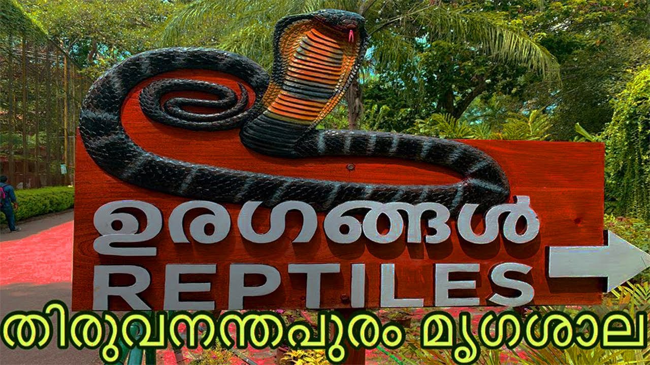 Snake Park Trivandrum/ Zoo in Kerala/Thiruvananthapuram Zoo/opt vlogs/snake park videos