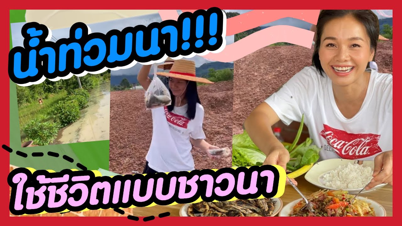 น้ำท่วมนา💦กลับบ้านไม่ได้!! เลยใช้ชีวิตแบบชาวนา🌾