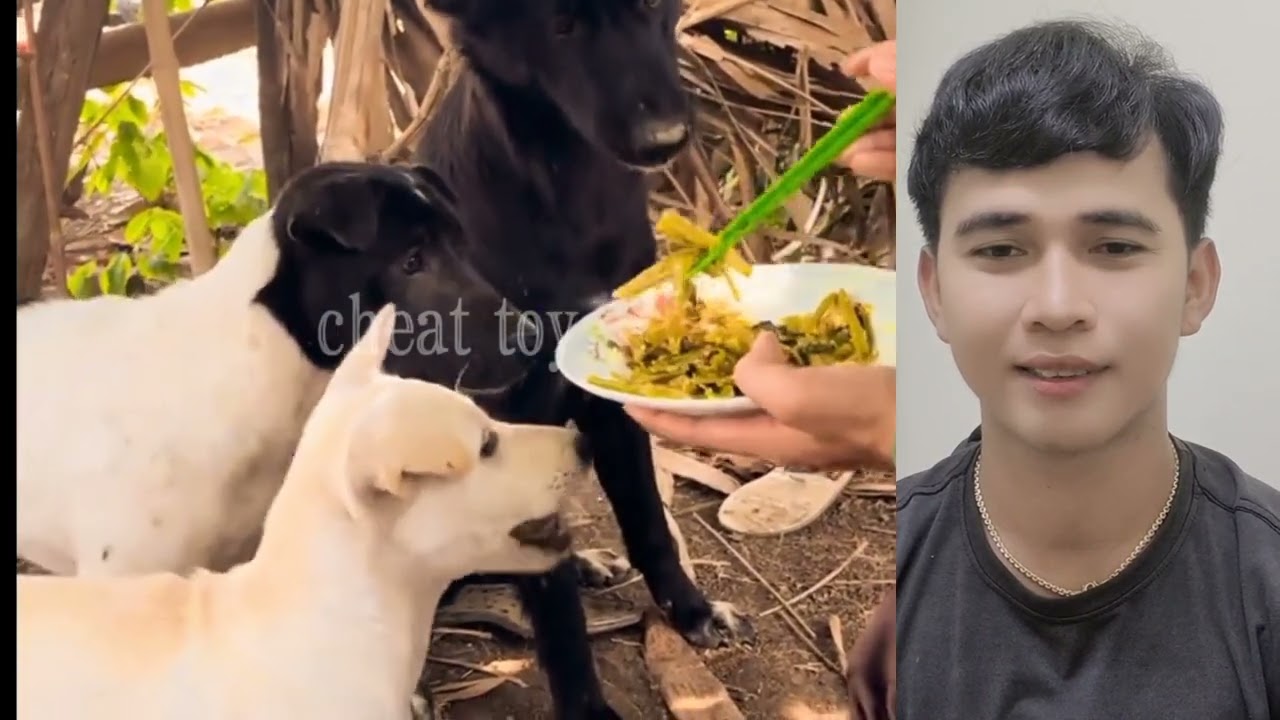 Ep34/ ជួយផងឆ្កែខាំជើង😁
