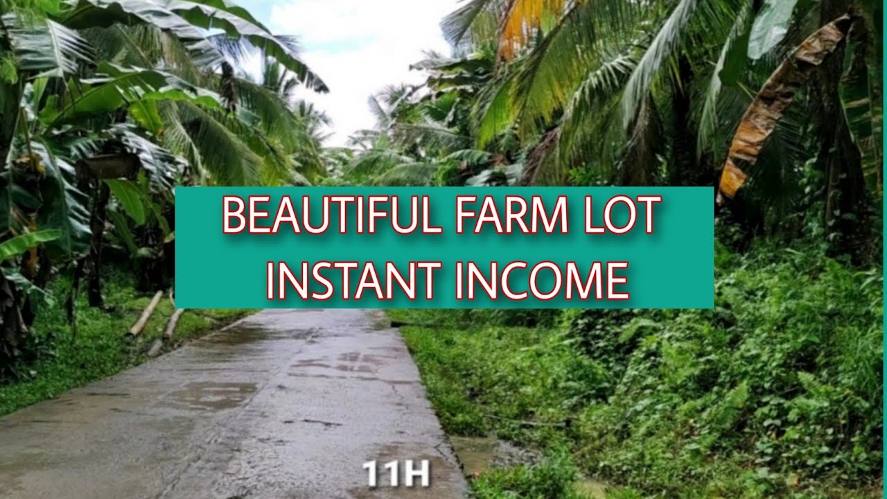 #577 #100% SURE NA ANG INCOME