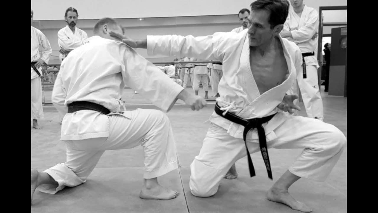 France Shotokan Paris - Torite & travail à genou