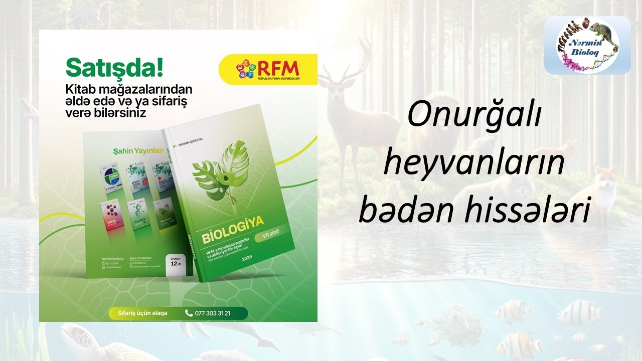 Biologiya 7-ci sinif 4.2 Heyvanların bədən hissələri. RFM səviyyəli izah