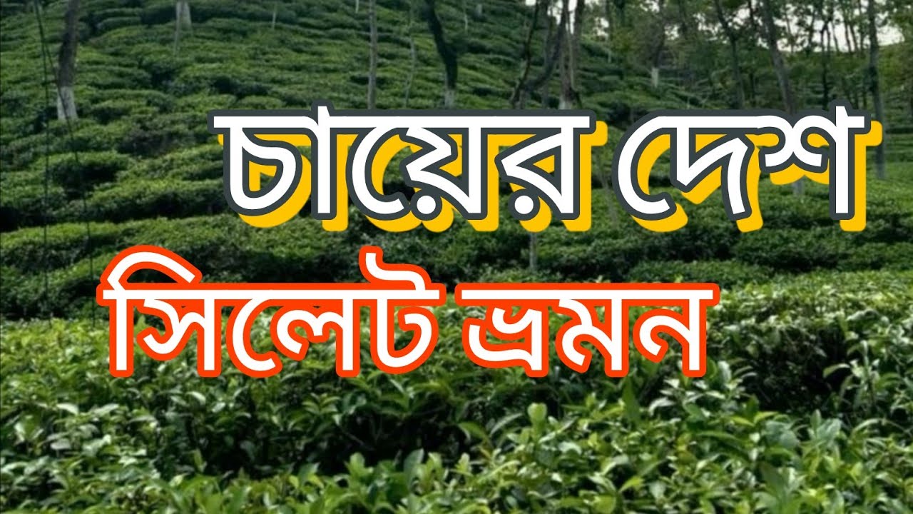 চায়ের দেশ সিলেট ভ্রমন। Dhaka To Sylhet Tour। Travel video। #sylhet tour #Farhana & Nafiz 