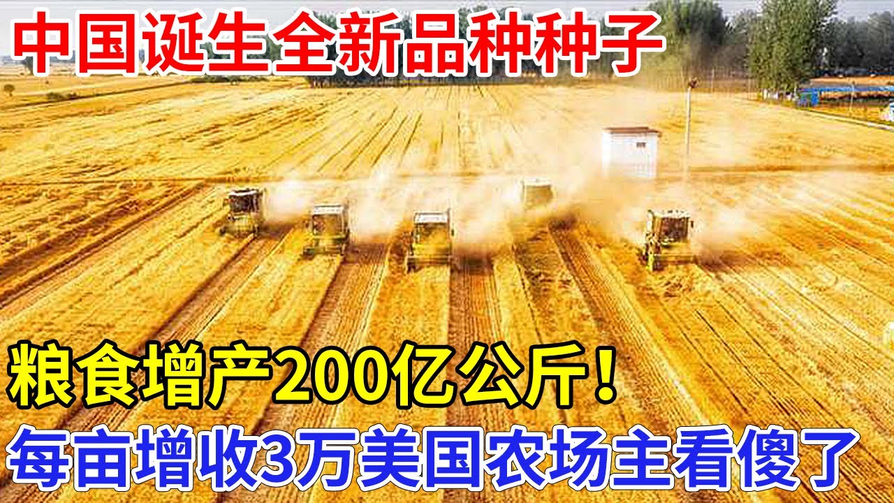 重要性堪比农业芯片，中国诞生一全新品种种子，粮食增产200亿公斤！每亩增收30000元，全国农民抢着种！【科技传奇】
