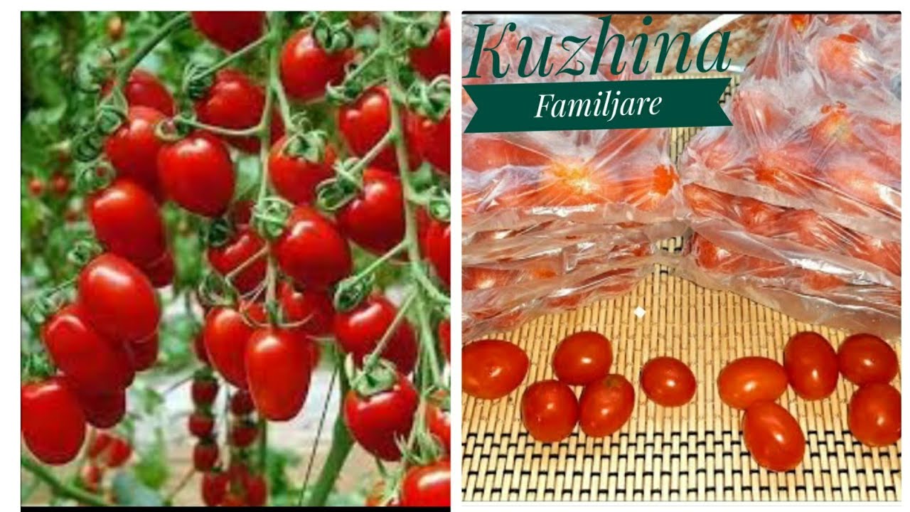 Si te ruajmë domatet për sezonin dimëror !