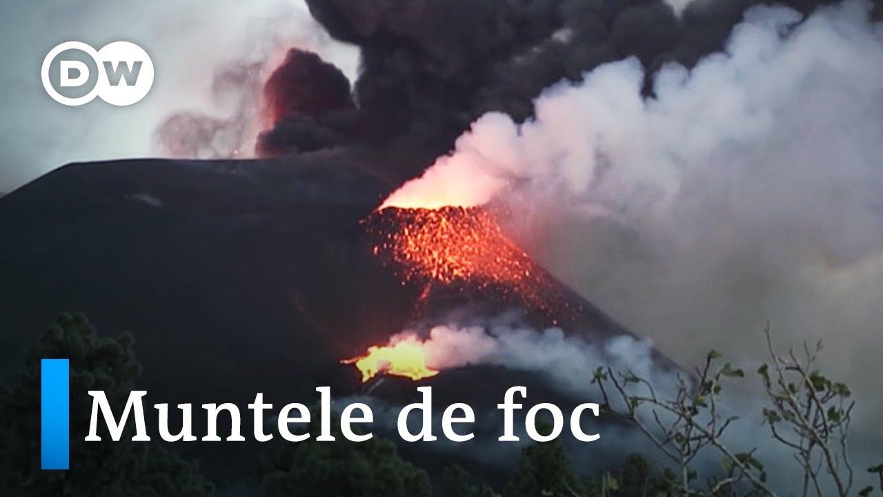 „Doare să renunți la tot” - Drama de pe insula canară  La Palma