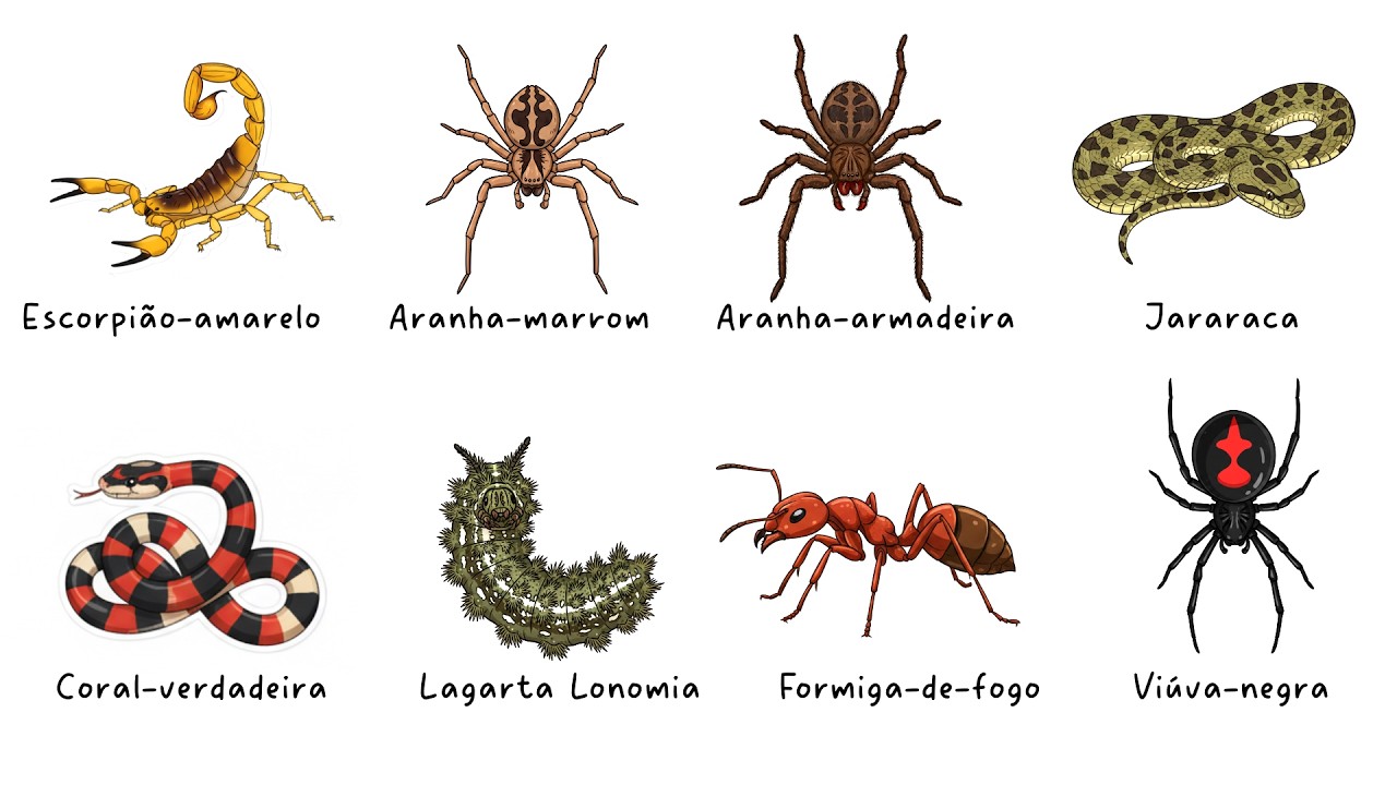 8 Animais Extremamente Venenosos que Vivem nas Cidades Brasileiras (Você Pode Estar Perto!)