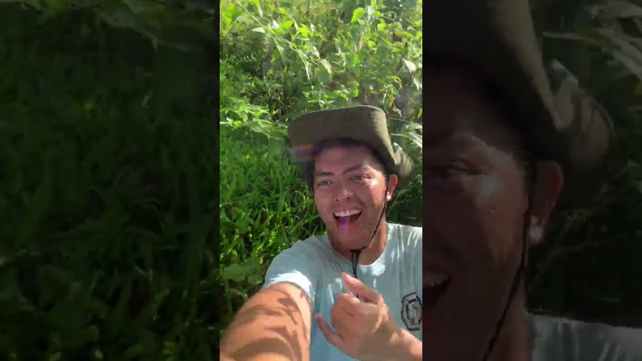 Dragons back trail | Dancing grass trail | BRC Dos | Sole hunters hike club 