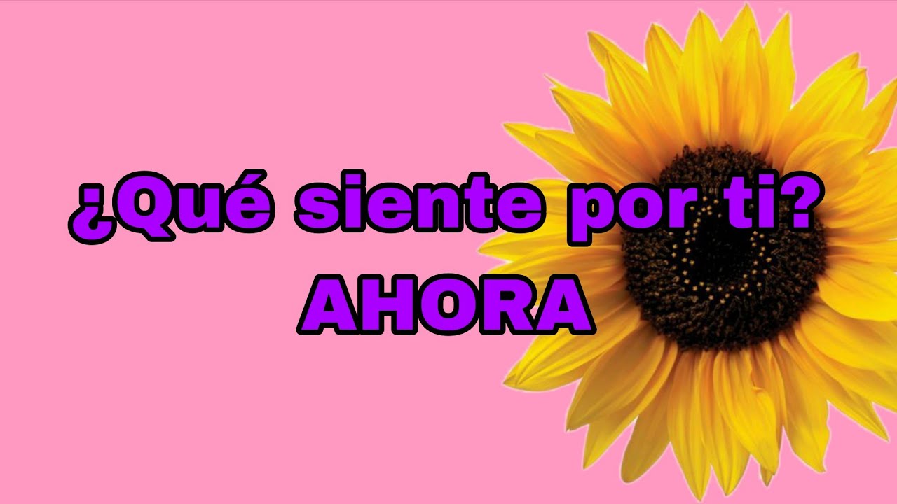 💗❤️💕 ¿Qué siente por ti? 💕❤️💗 Lectura Interactiva