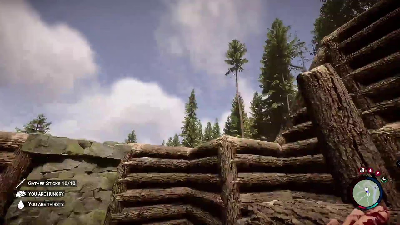 Sons of The Forest