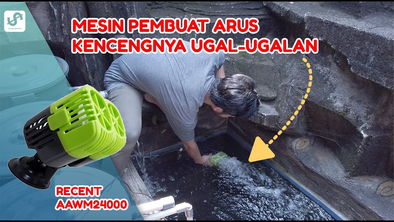 RECENT WAVE MAKER AAWM24000