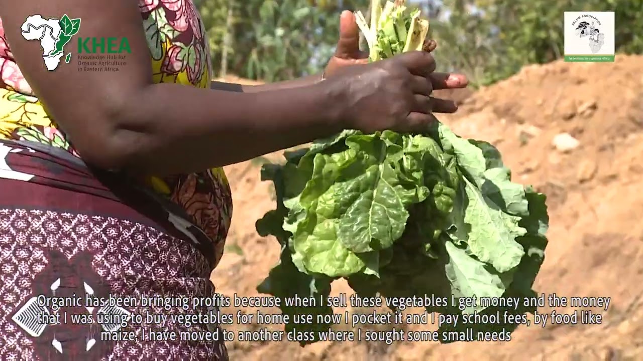 Meet Africa's Organic Farmer – Jemimah Ngina  from Kenya #FarmersOfAfrica #KHEA