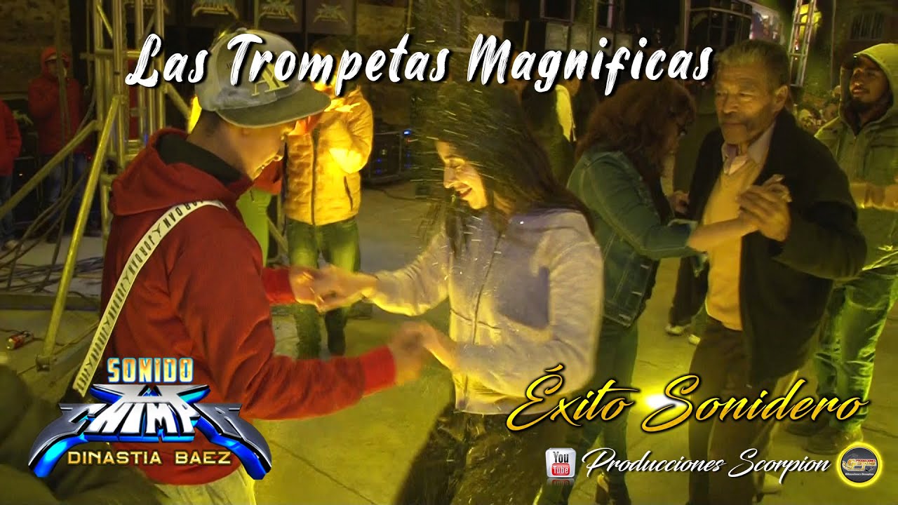 Sonido Chimpa 🔉 Las Trompetas Magnificas 🎺🎺