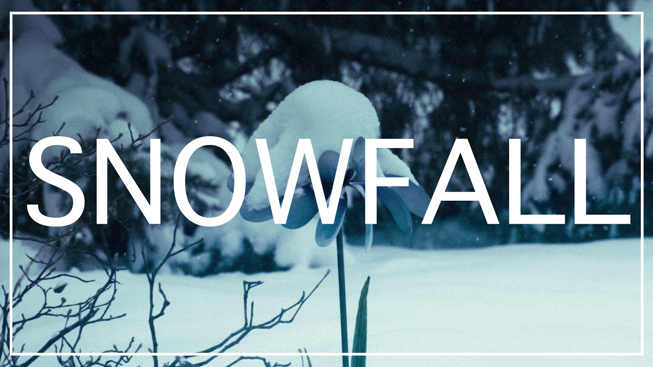 Snowfall