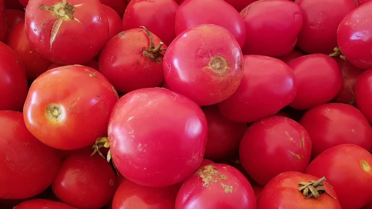 Ритуал - онлайн От безысходности на томаты. К Апуху.