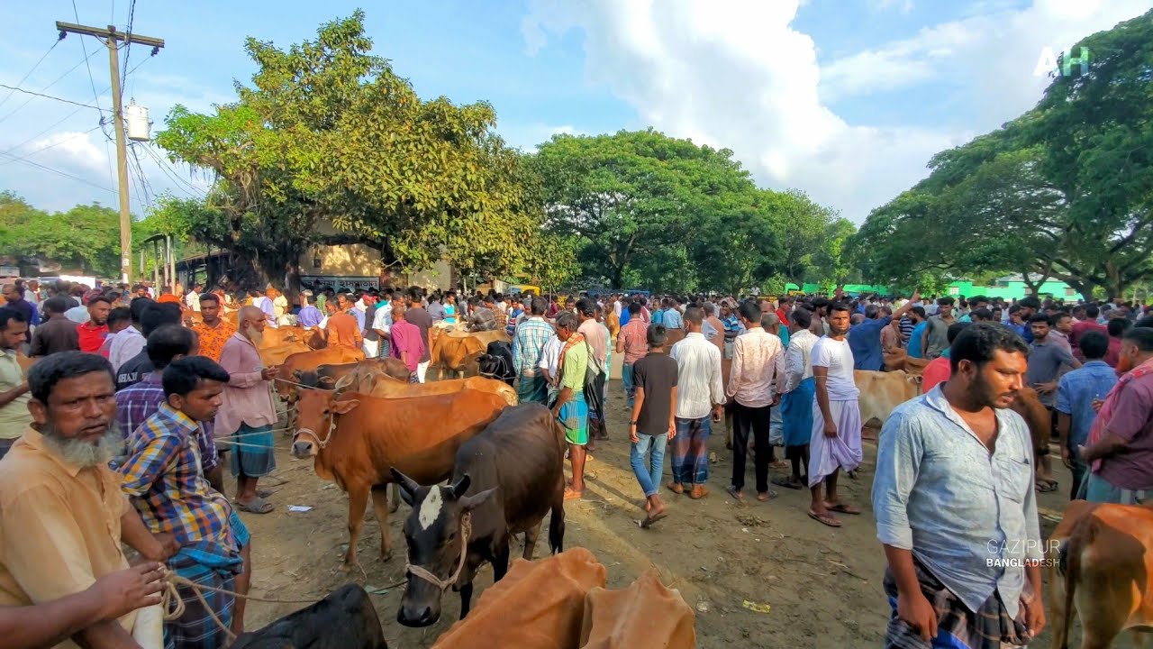 Lohai Bazar| Village market of Bangladesh |Rural market|Abdar Sreepur Gazipu| লোহাই বাজার|4K|