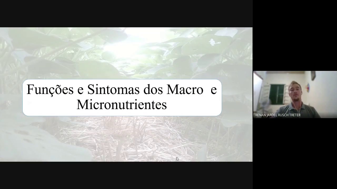 76 Parte 1   SINTOMAS DE DEFICI&Ecirc;NCIA E EXCESSO DE NUTRIENTES E SUAS INTER RELA&Ccedil;&Otilde;ES PARA A SOJA
