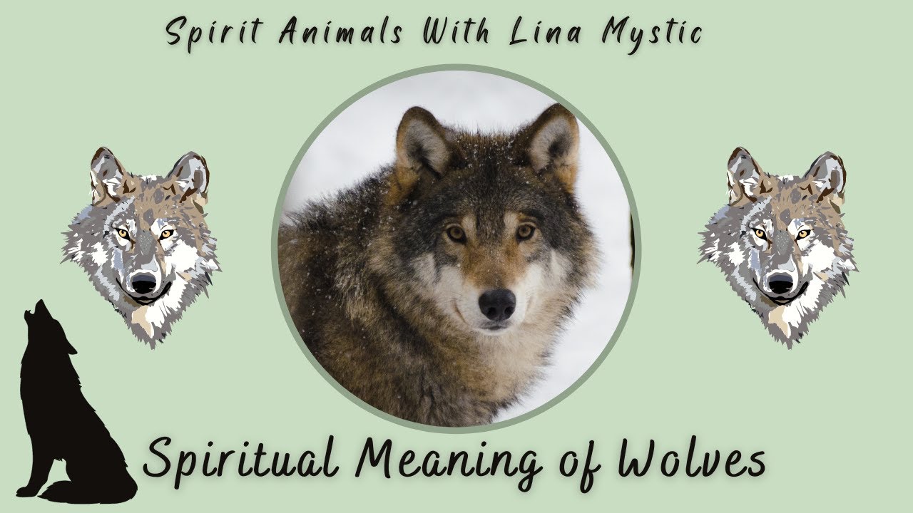 Why You Keep Seeing The Wolf Spirit Animal | Wolf Spiritual Symbolism | Wolf Spirit Animal