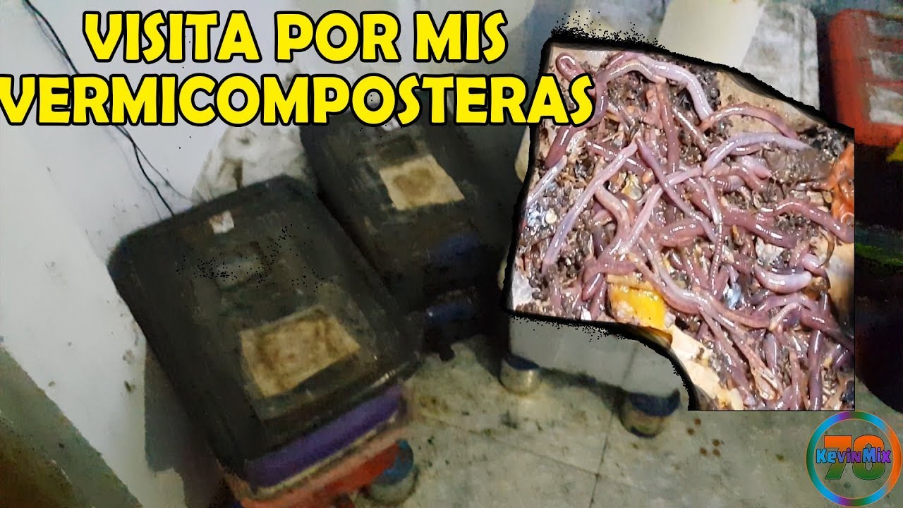 Visita por mis Vermicompostadoras | V&iacute;deo Comentado