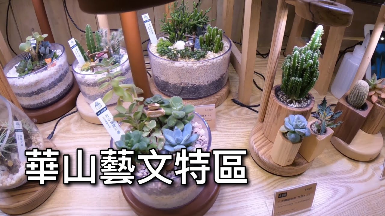 【多肉植物】4K 這裡竟然有賣多肉植物，而且還種在室內@華山藝文特區