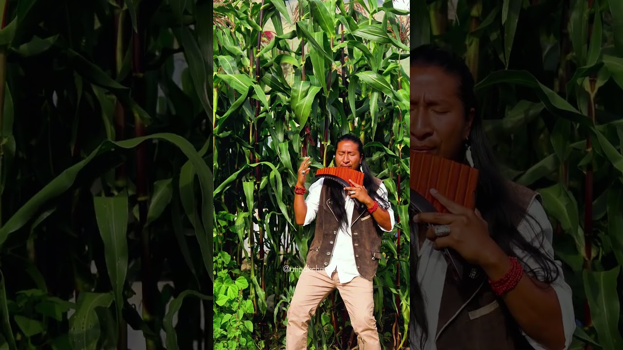 Aleluya - Hallelujah 🕊 | Pan Flute cover by Atipak Christian #panflute #instrumentalmusic #paz