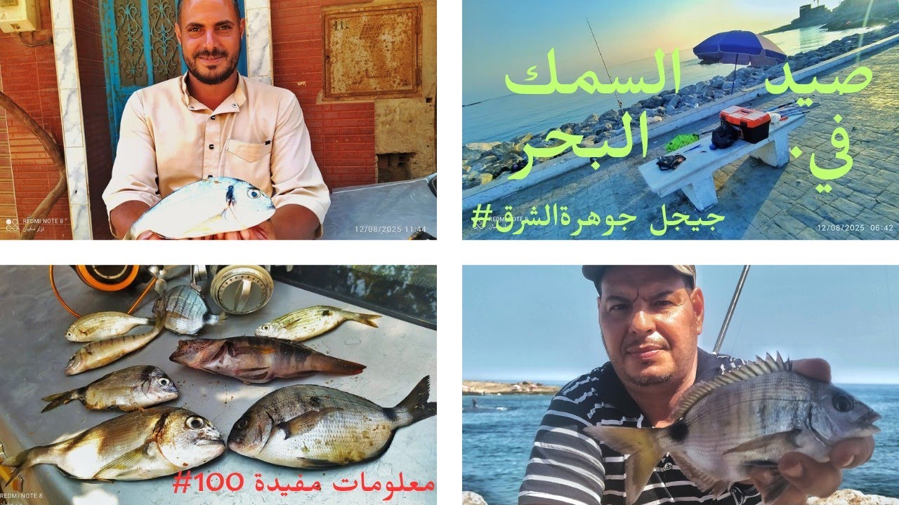 صيد السمك في البحر #جيجل جوهرة الشرق #صيد #سمك #البحر