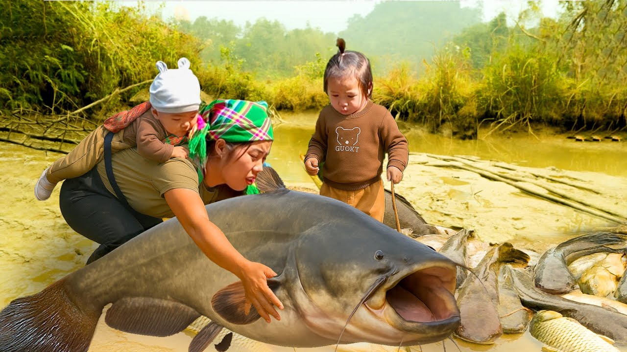 Harvesting Giant Fish with My Young Son – Taking the Catch to Sell at the Market