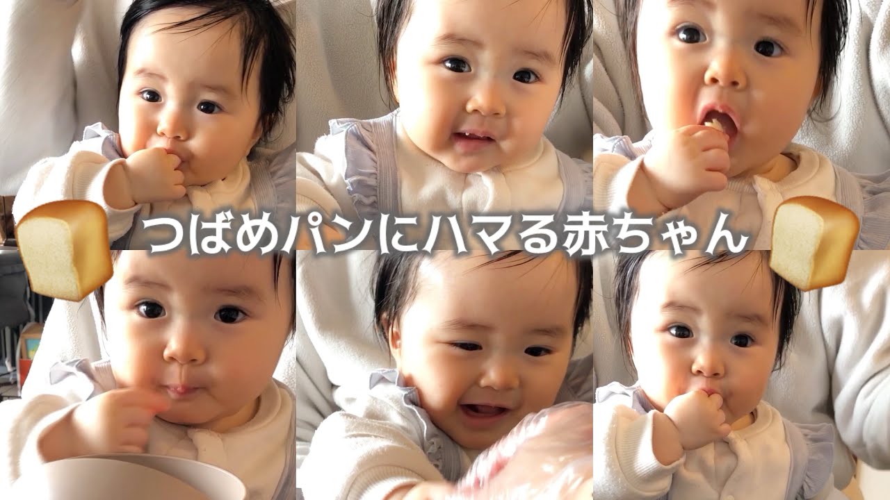 【生後11ヶ月】👶つばめパンめっちゃ美味しくてパクパク食べる赤ちゃん🍞
