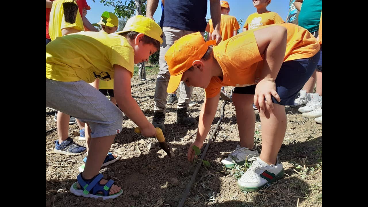Amendolara. Al campo estivo piccoli contadini per un giorno