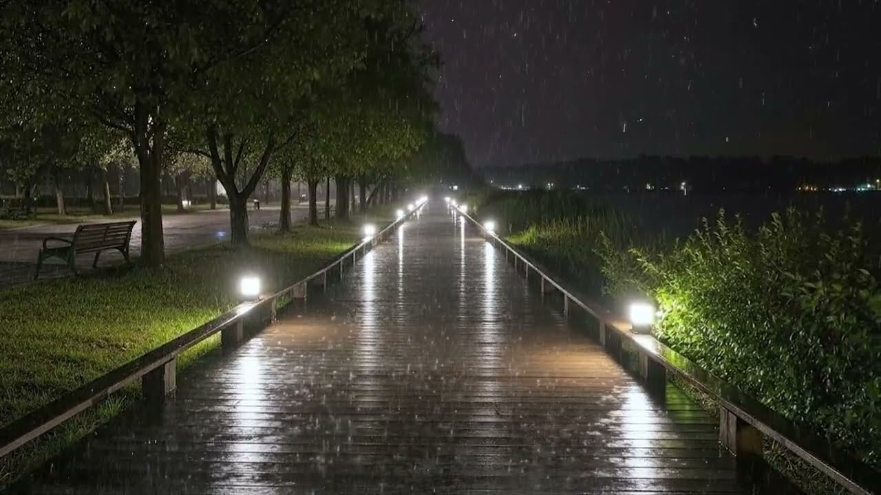 Tinnitus Relief with Soft Rain at Night | Deep Sleep ASMR Rain for Insomnia