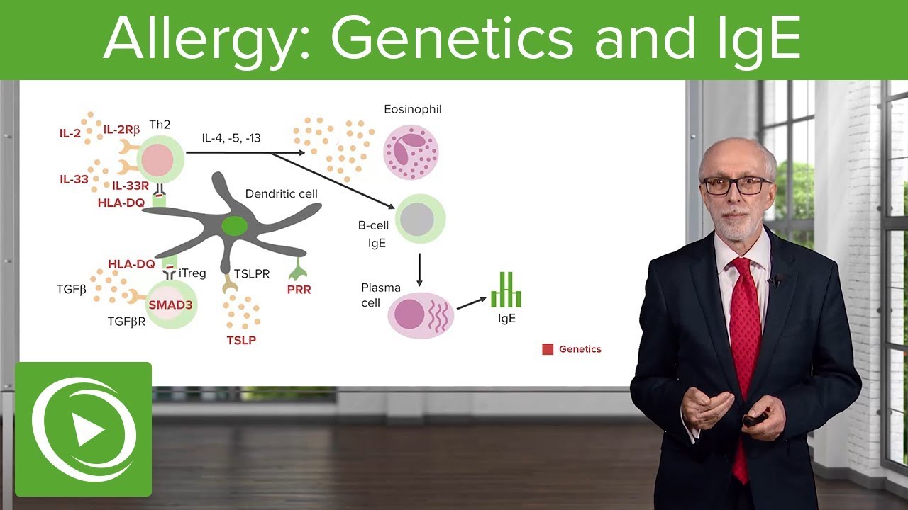 Allergy: Genetics and IgE – Immunology | Lecturio