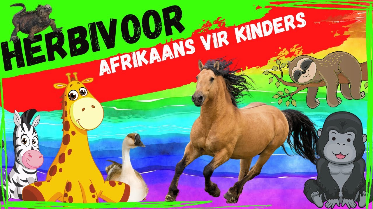 Afrikaanse kinder Video - Herbivoor diere #afrikaansvirkinders #kleuters #afrikaans