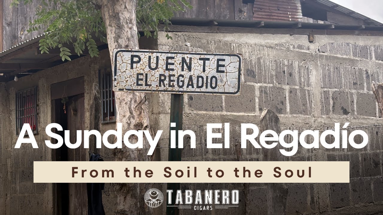 From the Soil to the Soul: A Sunday in El Regad&iacute;o