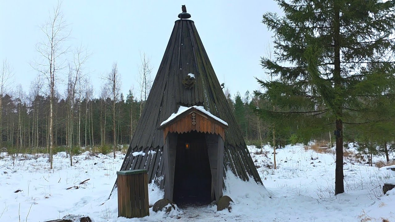 Walking Through a Finnish Forest - Winter Calm in Finland 